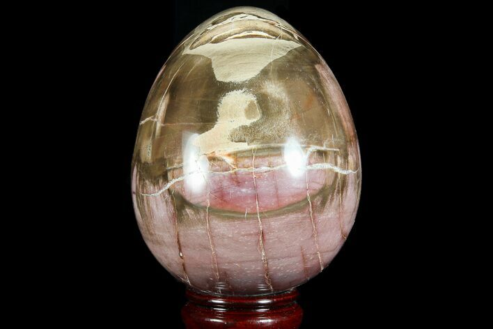 Colorful, Polished Petrified Wood Egg - Triassic #74741